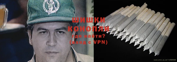 a pvp Бородино